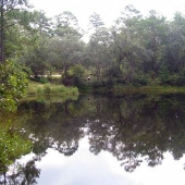 Rocky Bayou State Park