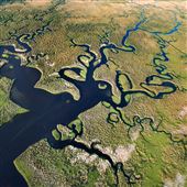 The Florida Everglades