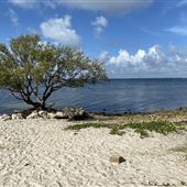 Hobie Beach