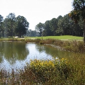 Golf Greater Gainesville
