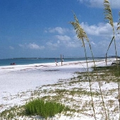 Clearwater Caladesi Island