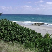 Red Reef Park
