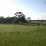Golfing