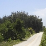 Jonathan Dickinson Road