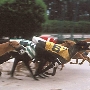 Panama City Dog Track