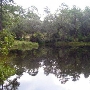 Rocky Bayou State Park