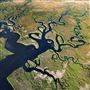 The Florida Everglades