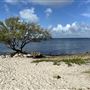 Hobie Beach