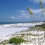 Clearwater Caladesi Island