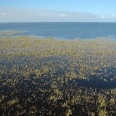 Lake Okeechobee