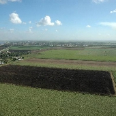 Fields