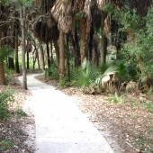Delray Oaks Nature Area