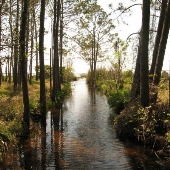 Liza Jackson Park