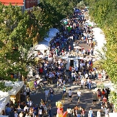 festival Gainesville