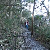Theodore Roosevelt Area