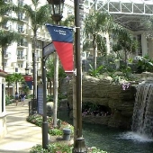 Gaylord Palms