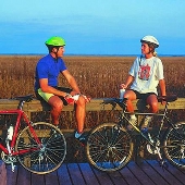 Paynes Prairie