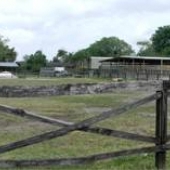 Horse Country