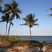 Crandon Park Beach