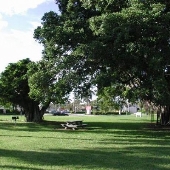 Knowles Park