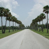 Ft. DeSoto Park