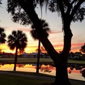 Saddlebrook Resort