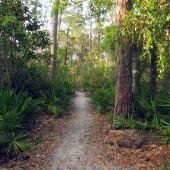 Oak Tree Park