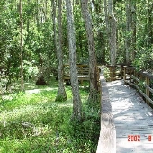 JB Starkey's Ranch