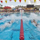 Tamiami Park Pool