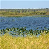 Lake Kissimmee