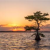 Blue Cypress Lake