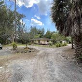 Florida Oasis