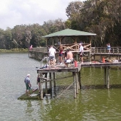 Camps Alachua County