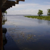 Cypress Isle