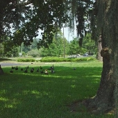 Florida State College at Jacksonville (Kent Campus)