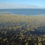 Lake Okeechobee