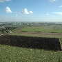 Fields