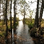 Liza Jackson Park