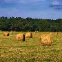 Hay Bales