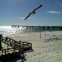 Crab Trap Restaurant by Okaloosa Pier