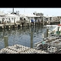 Marathon Fishing