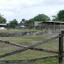Horse Country