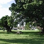 Knowles Park