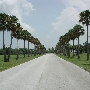 Ft. DeSoto Park