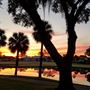 Saddlebrook Resort
