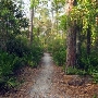 Oak Tree Park