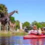 Brevard Zoo