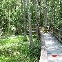 JB Starkey's Ranch