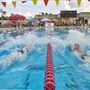 Tamiami Park Pool