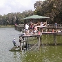 Camps Alachua County
